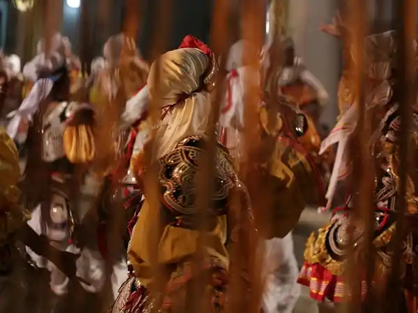 Cultural Experiences